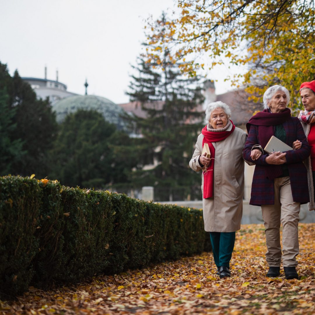 A group of happy senior women friends with books on walk outdoors in park in autumn, talking